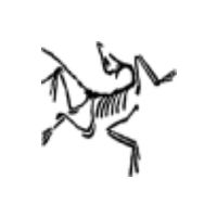 Arc'teryx
