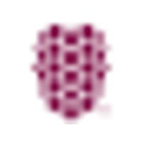 Dewberry