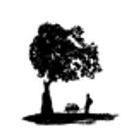 Everain Global Services