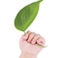 Family Forward Surrogacy