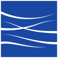 Movement Strategy Center