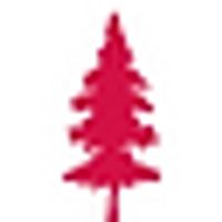 Red Pine Exploration