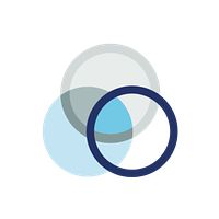 Venn Partners