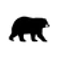 Wandering Bear Coffee
